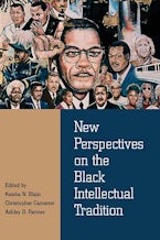 New Perspectives on the Black Intellectual Tradition